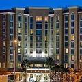 Отель St. Petersburg Marriott Clearwater Отель St. Petersburg Marriott Clearwater